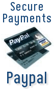 Payment processing via Paypal